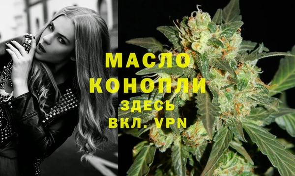 гидра Богородск