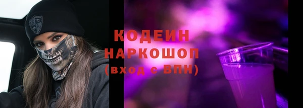 гидра Богородск
